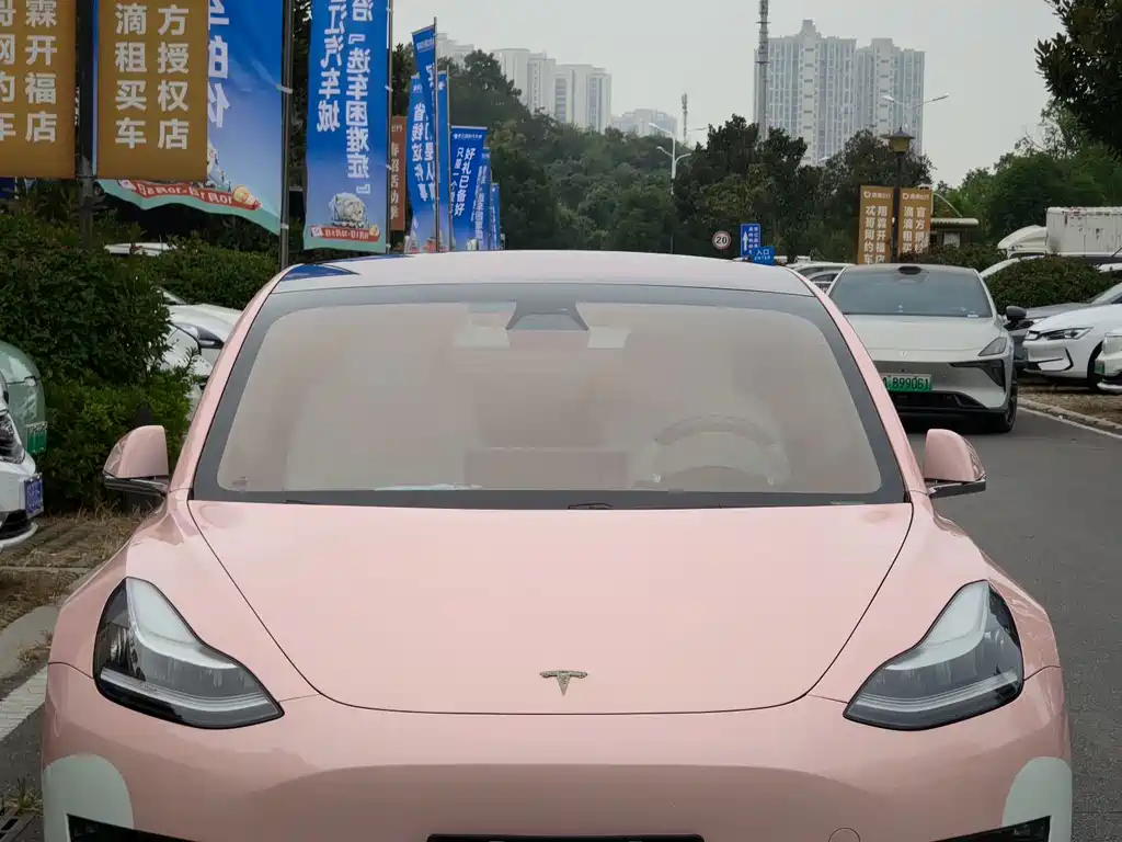Tesla Model 3 — миниатюра 2