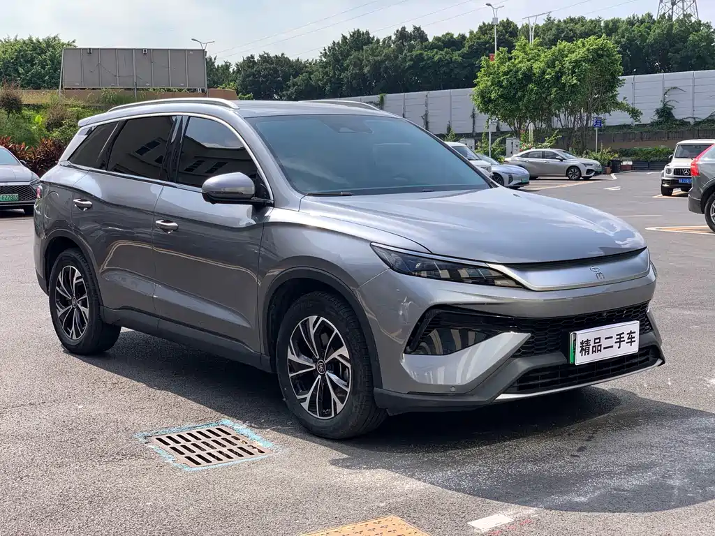 BYD Pro New Energy — миниатюра 3