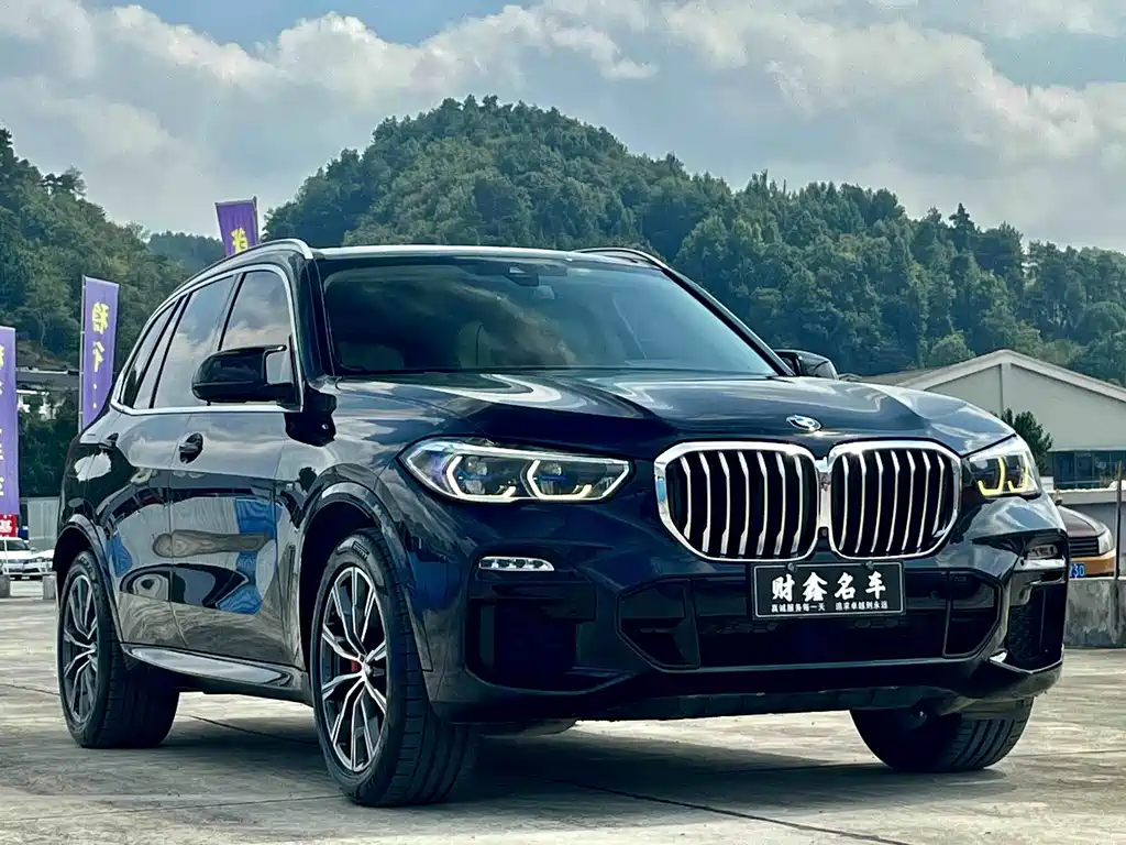 BMW X5 (Import) — миниатюра 3