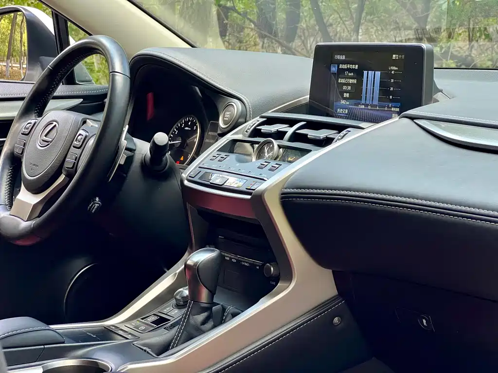 Lexus NX — миниатюра 31