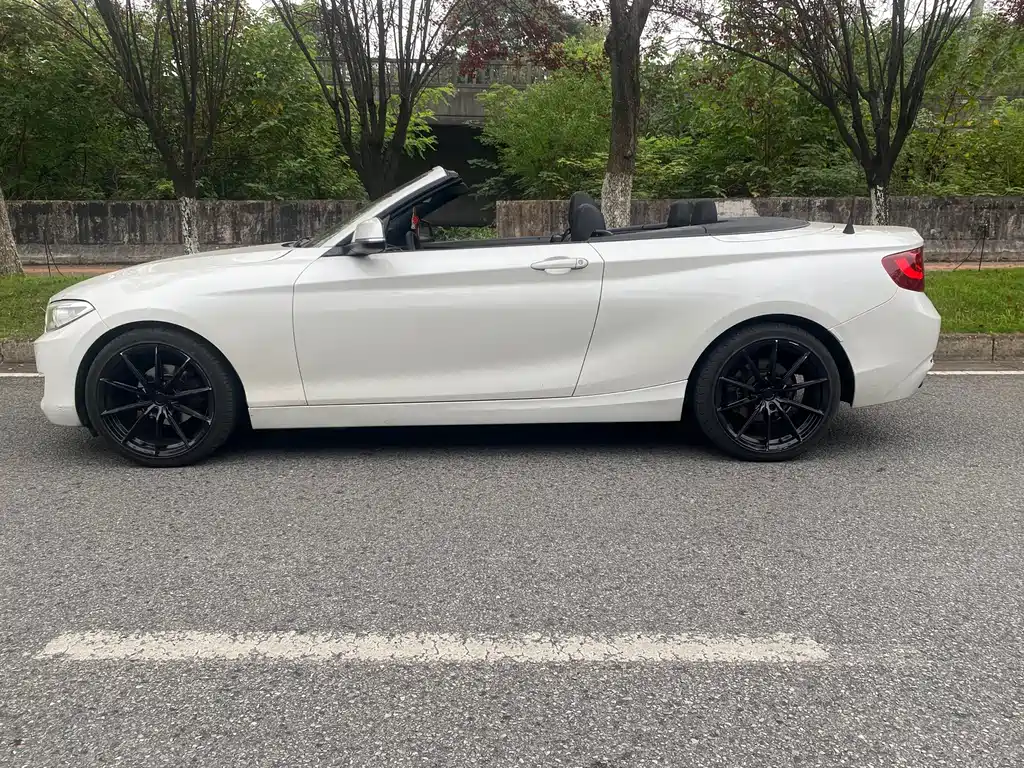 BMW 2 Series (Import) — миниатюра 6