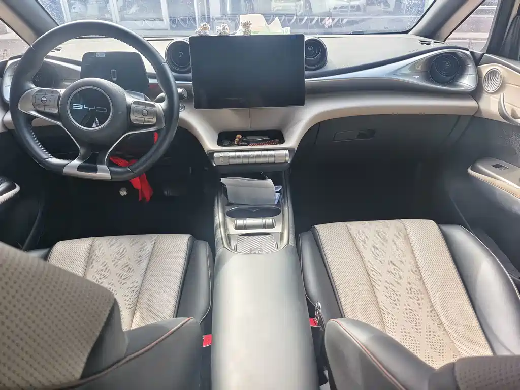 BYD Dolphin — миниатюра 4