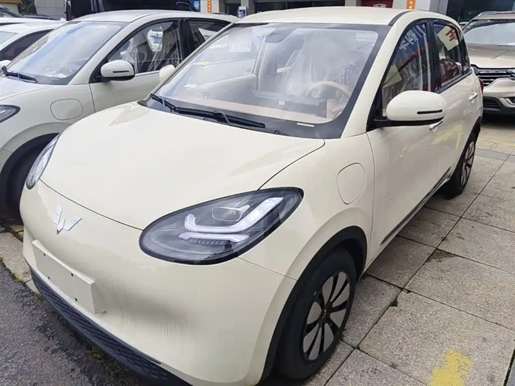 Wuling Binguo 2025 333km Enjoy