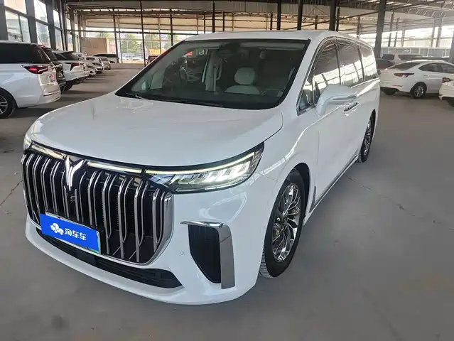 2023 Voyah Dream