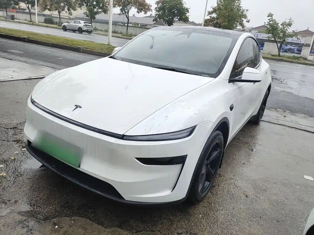 Tesla Model Y — миниатюра 2