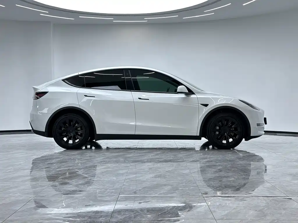 Tesla Model Y — миниатюра 8
