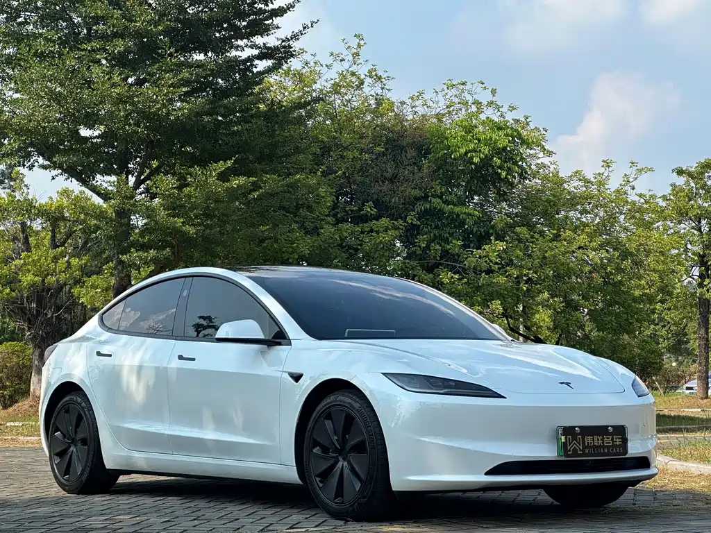 Tesla Model 3 — миниатюра 3