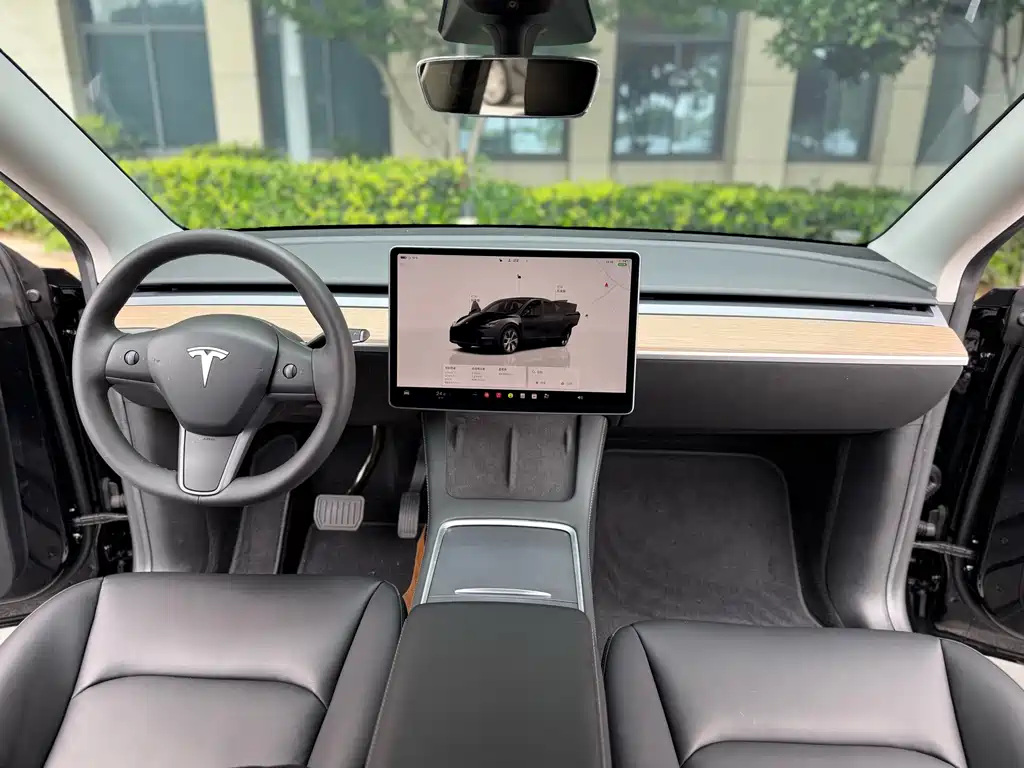 Tesla Model Y — миниатюра 6