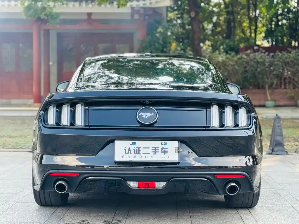 Ford Mustang — миниатюра 25