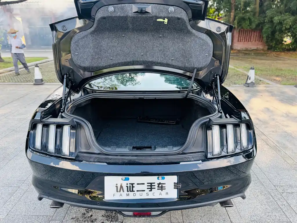 Ford Mustang — миниатюра 28