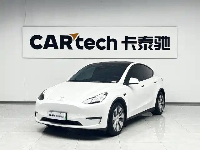 TESLA MODEL Y 2021