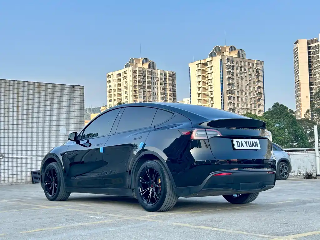 Tesla Model Y — миниатюра 7