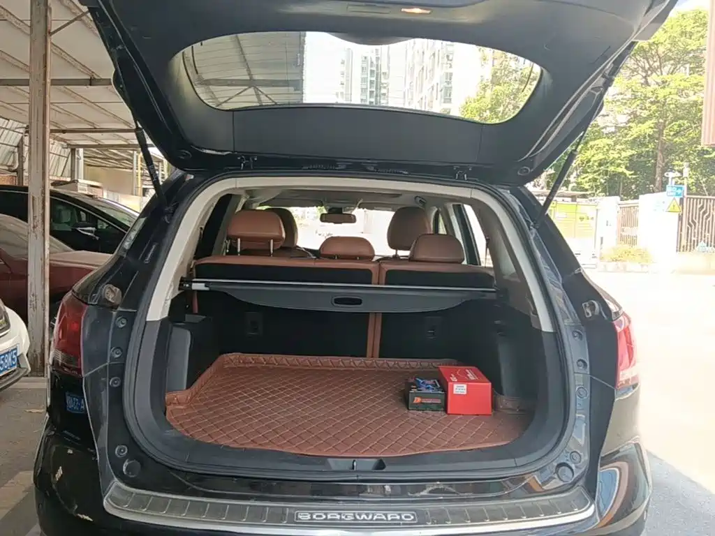 Borgward BX7 — миниатюра 19