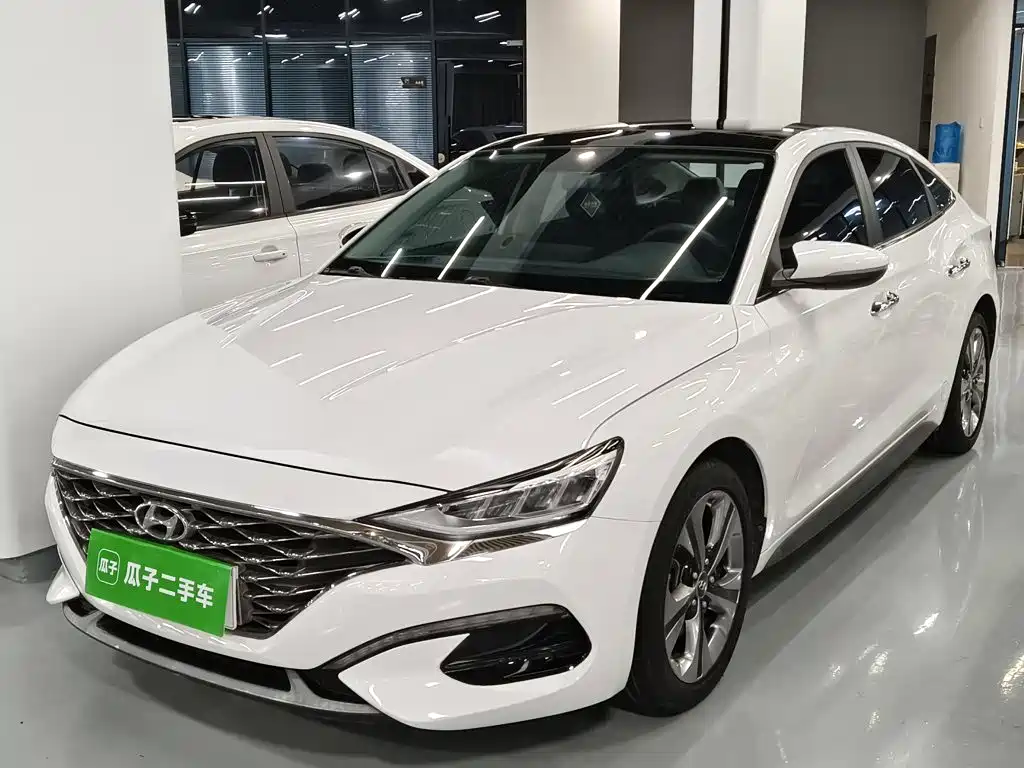 Hyundai Fista — миниатюра 2