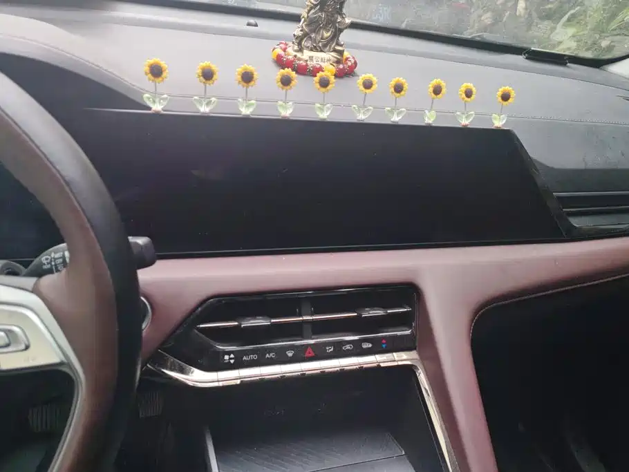Sehol X8 PLUS Facelift 1.5 TGDI DCT Zhishang Edition 7-seater, фото 13
