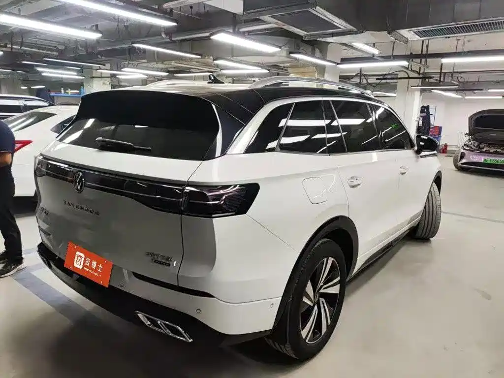 Volkswagen Tavendor — миниатюра 3