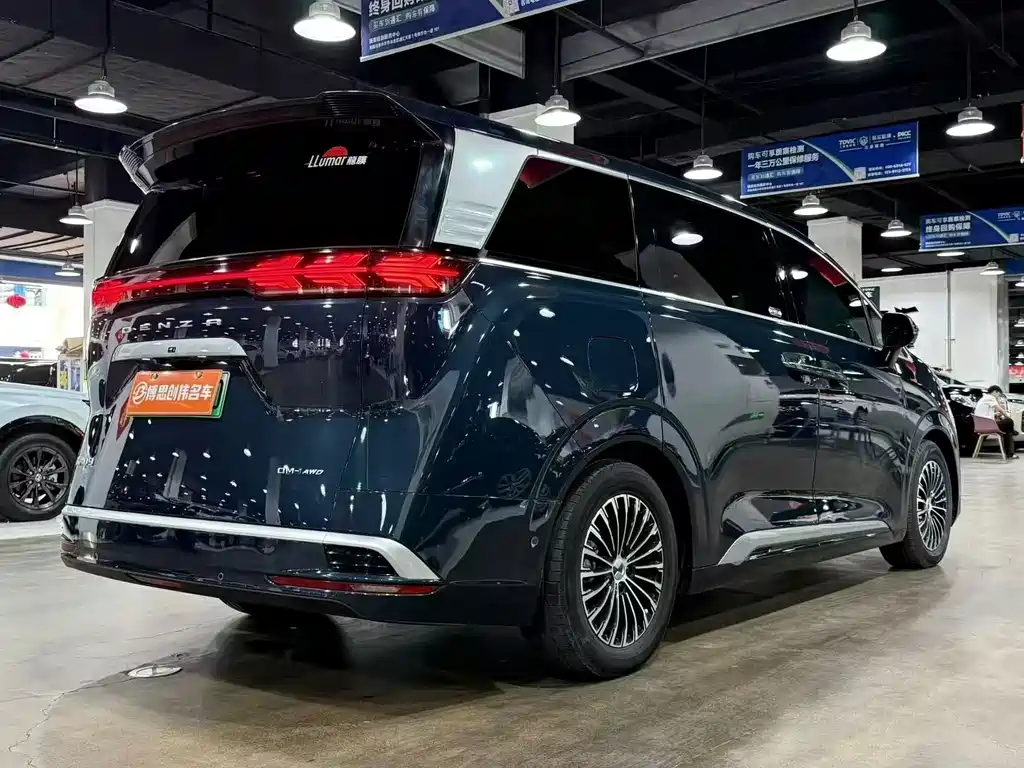 Denza Denza D9 — миниатюра 9