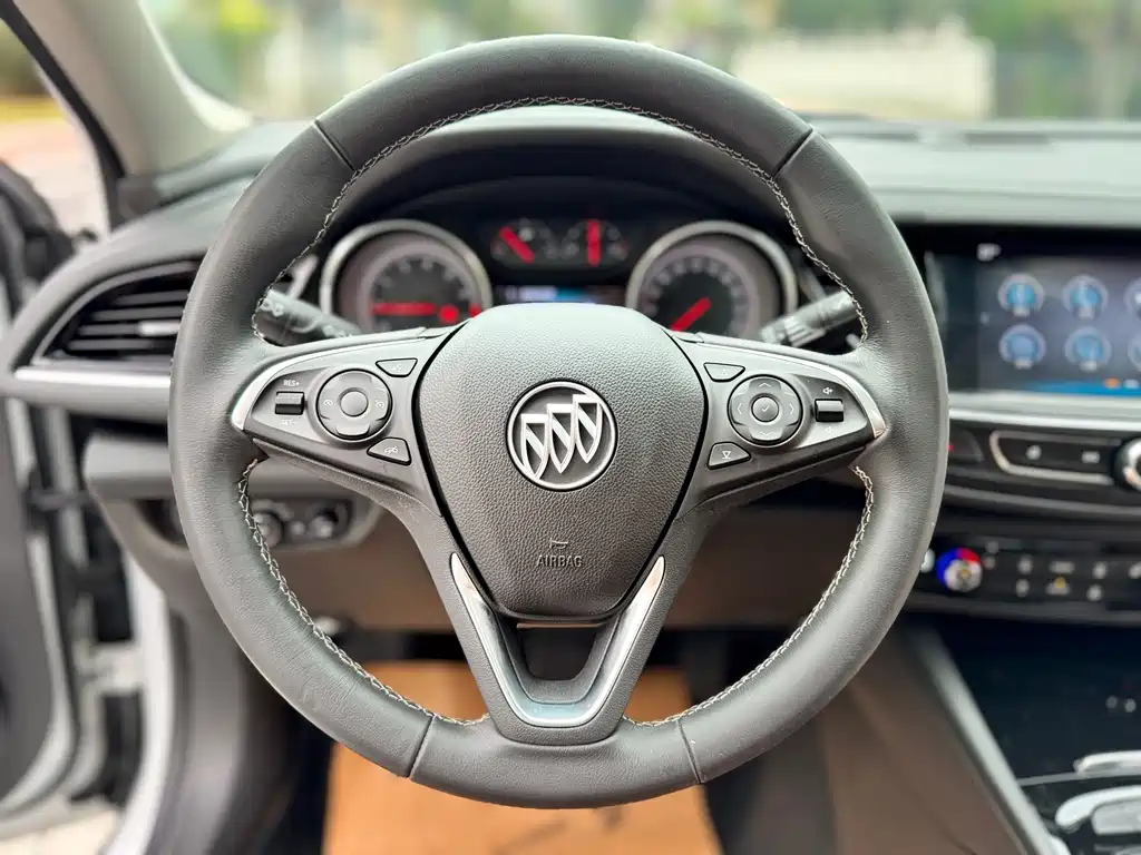 Buick Regal — миниатюра 13