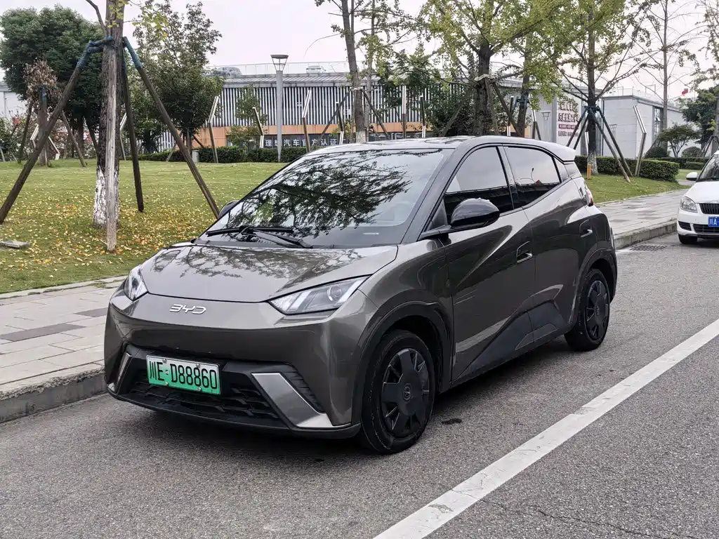 BYD Seagull