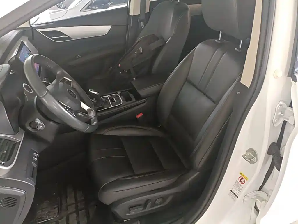 BYD MAX — миниатюра 15