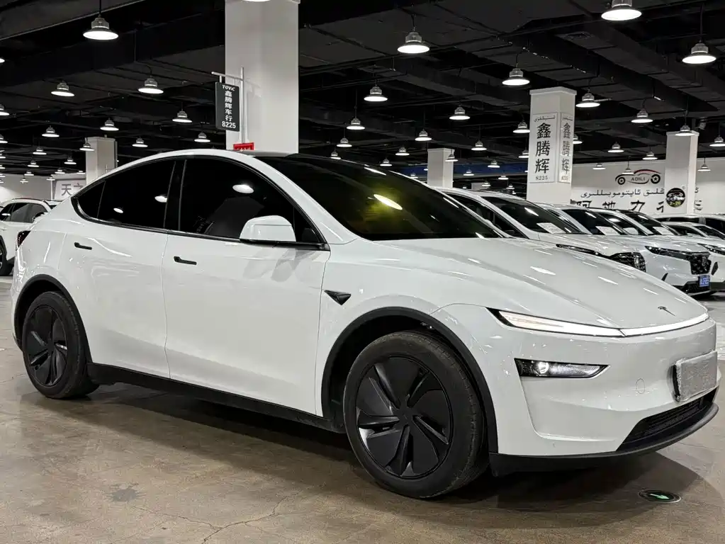 Tesla Model Y — миниатюра 3
