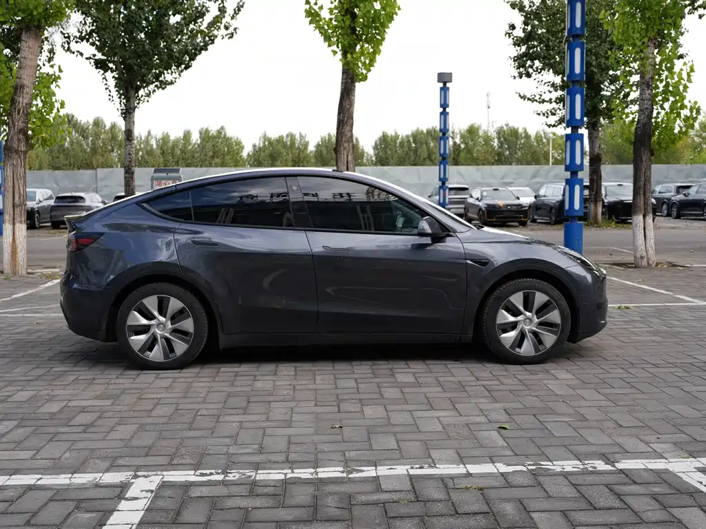 Tesla Model Y — миниатюра 4