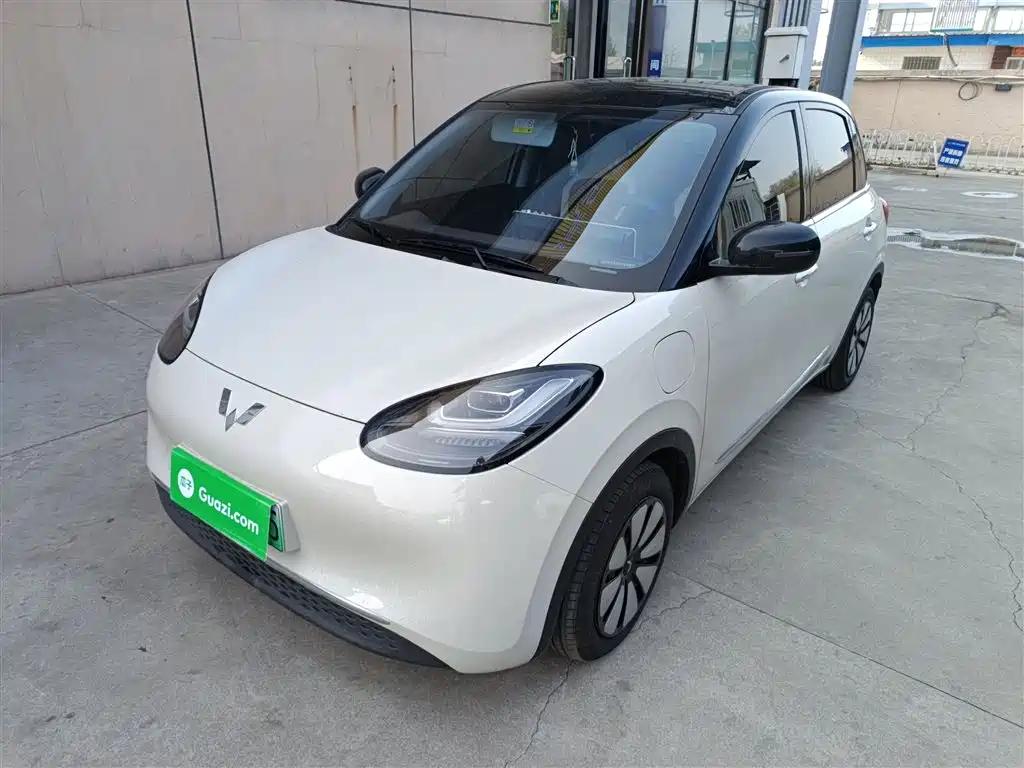 Wuling Bingo 2024
