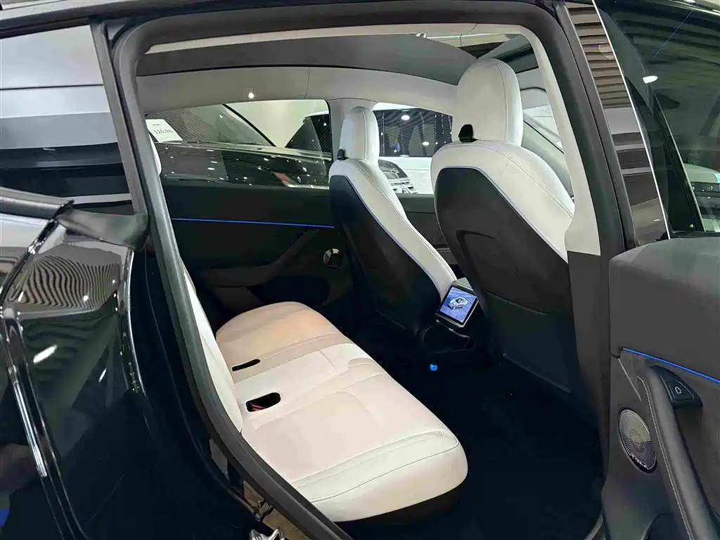 Tesla Model Y — миниатюра 9