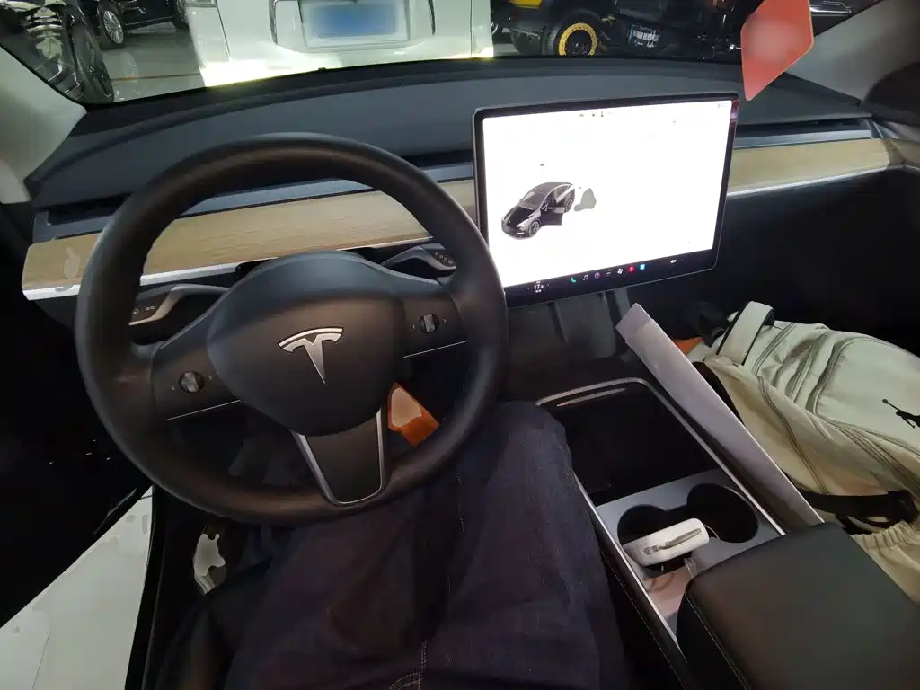 Tesla Model Y — миниатюра 10