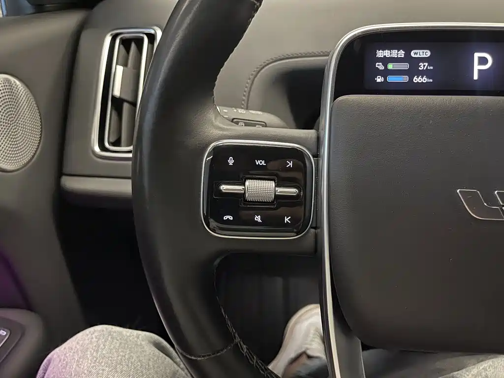 Li Auto Li L9 — миниатюра 21