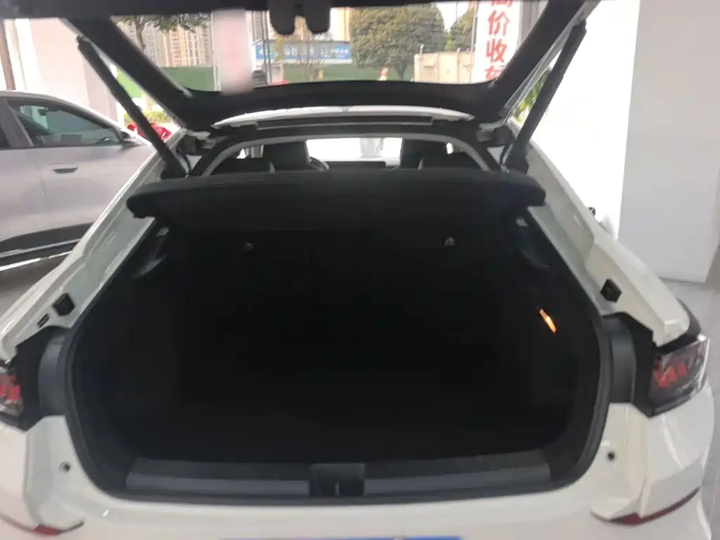Volkswagen Lamando — миниатюра 19