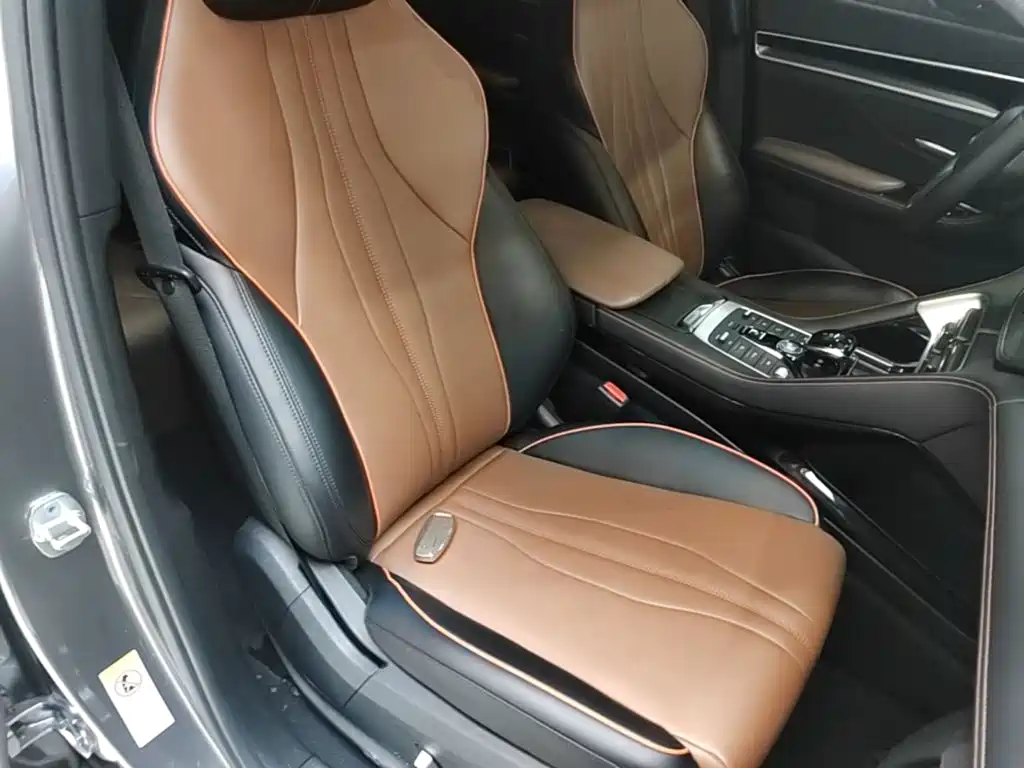 BYD PLUS — миниатюра 25