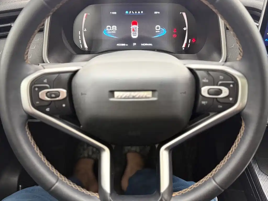 Haval Chitu — миниатюра 19