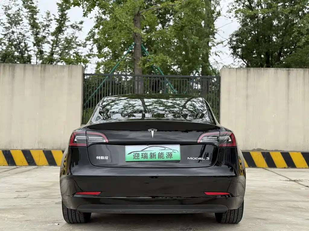 Tesla Model 3 2021 3D1