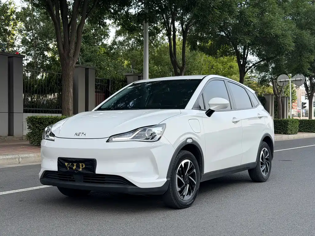Neta V 2021 Long Range Smart Edition Upgrade Type