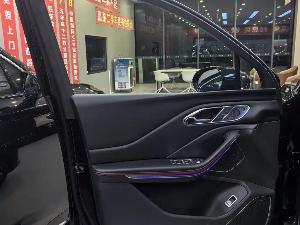 Hongqi Hongqi HS7 PHEV — миниатюра 7