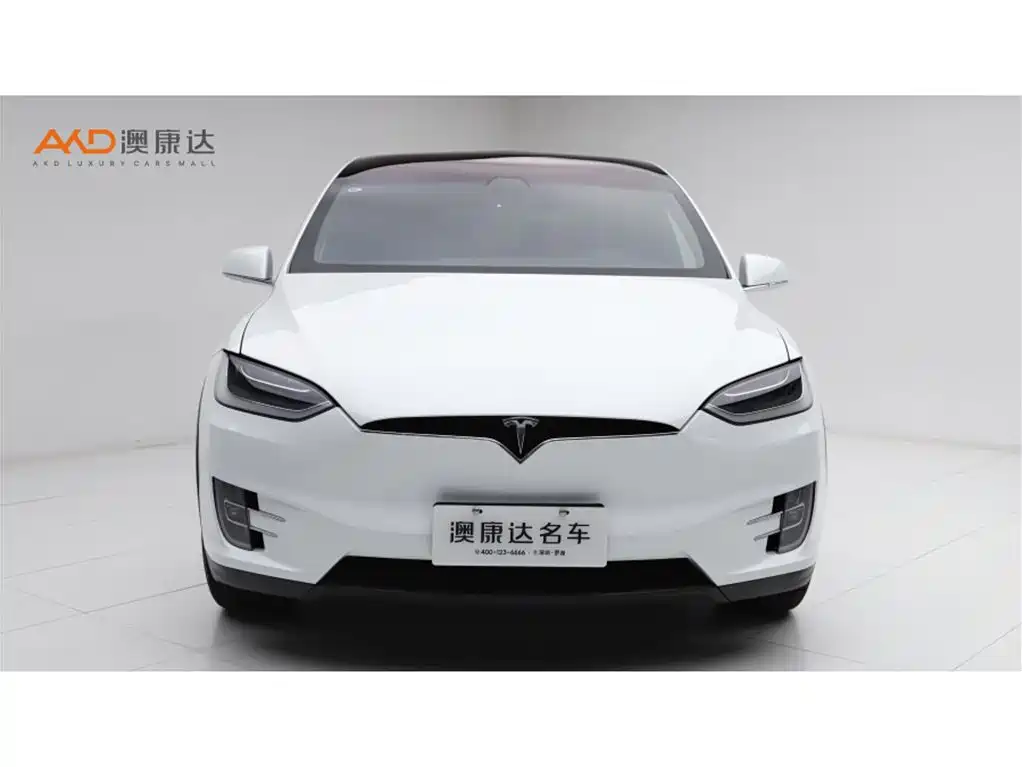 Tesla Model X 2017 Model X 100D