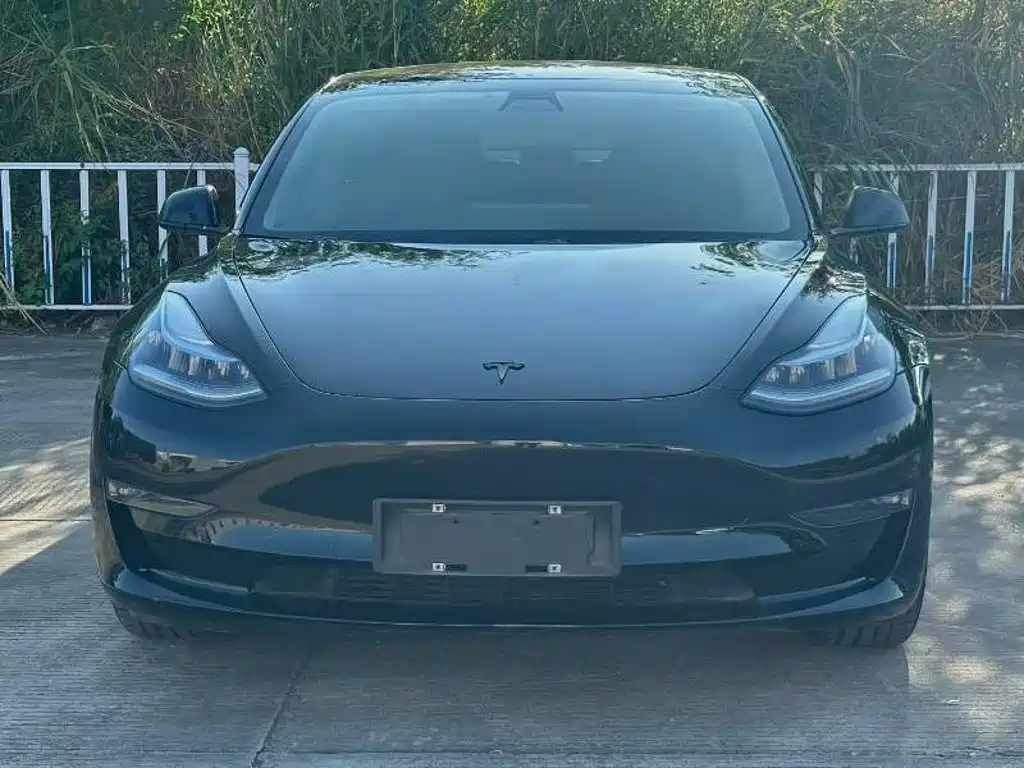 Tesla Model 3 — миниатюра 2