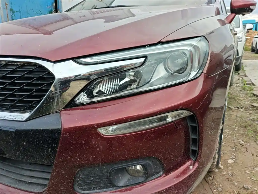 DS DS 4S — миниатюра 24