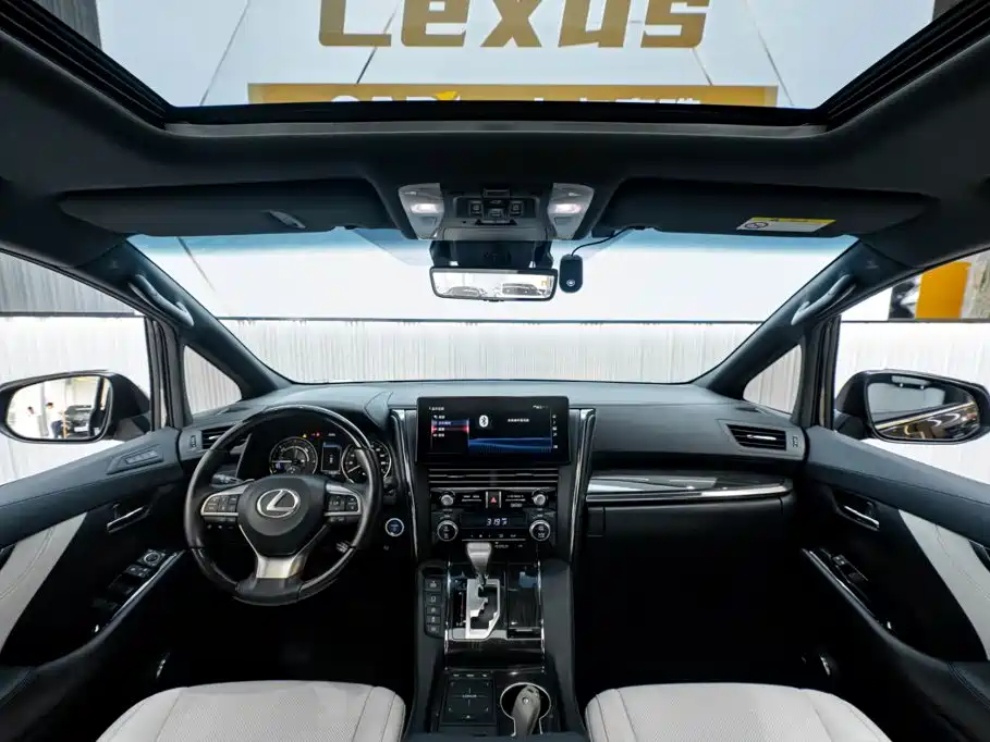 Lexus LM 2020 — фото 14
