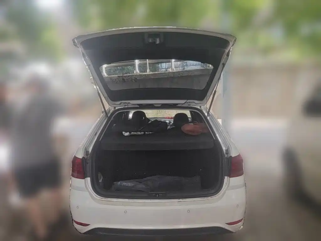 Volkswagen Gran Lavida — миниатюра 10