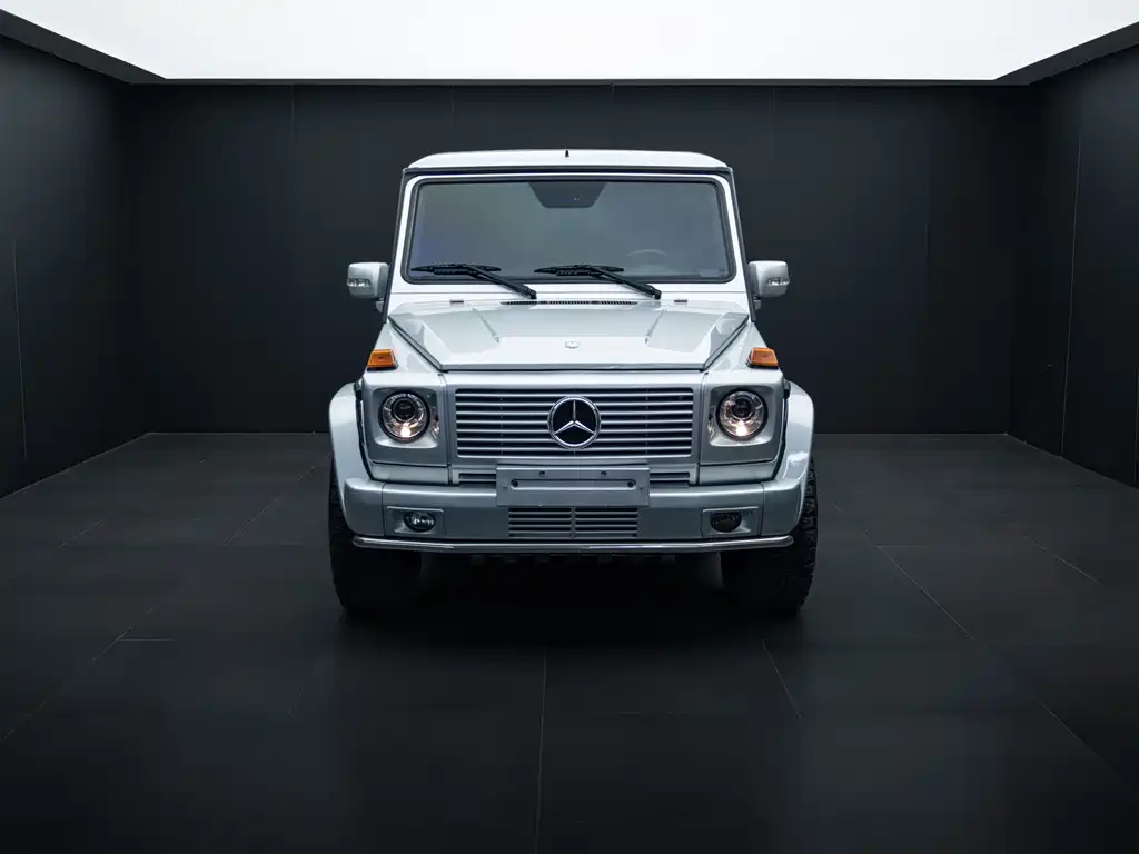 Mercedes-Benz G-Class A MG G AMG 2009 AMG G 55