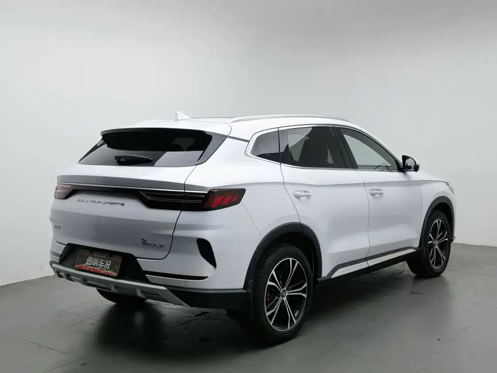 BYD PLUS — миниатюра 2