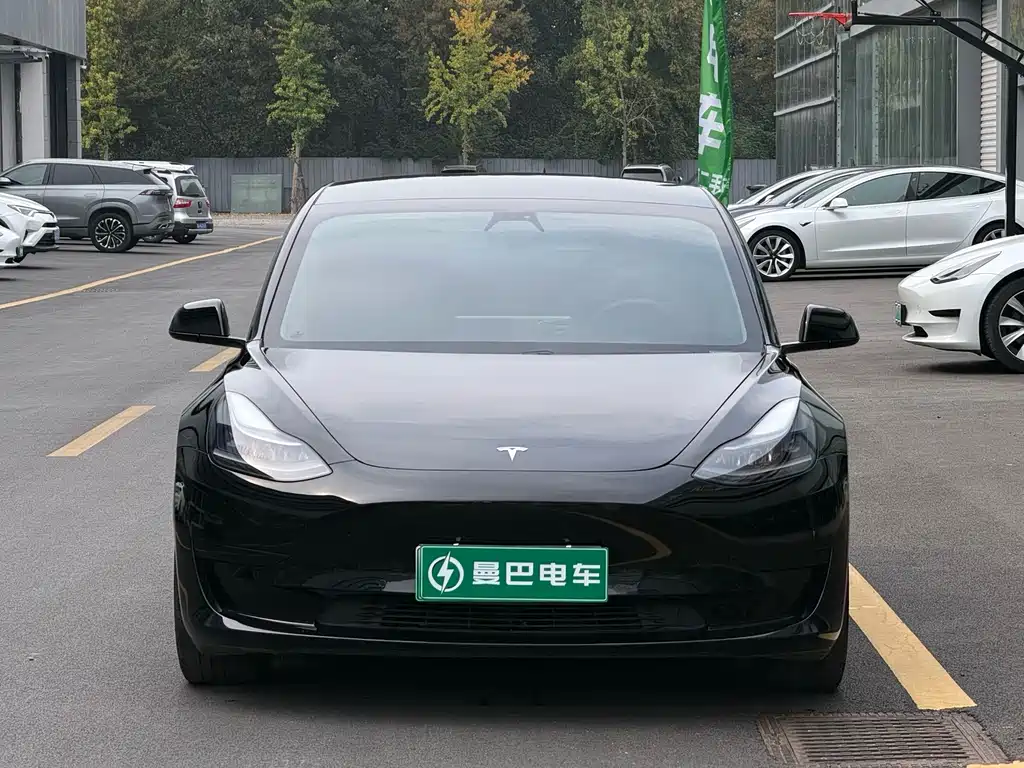 Tesla Model 3 — миниатюра 2