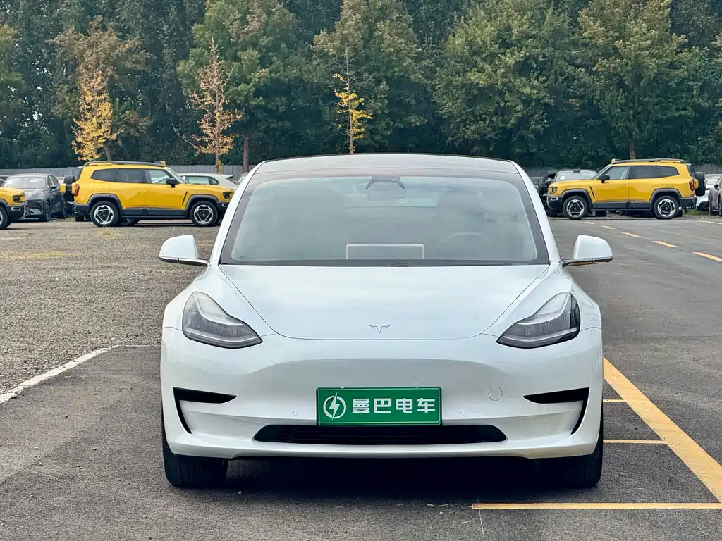Tesla Model 3 — миниатюра 2