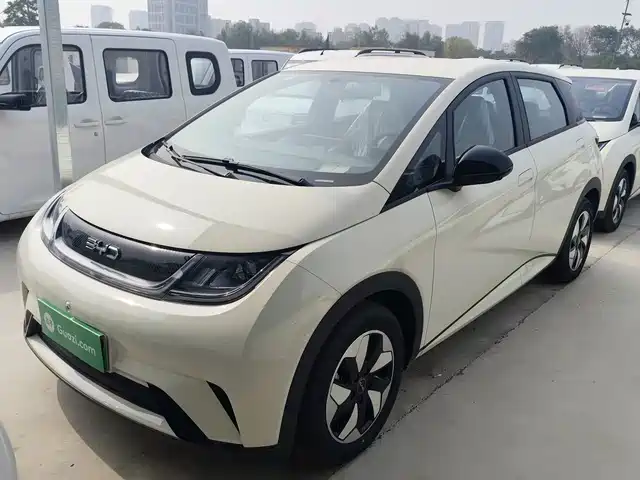 2026 BYD Dolphin