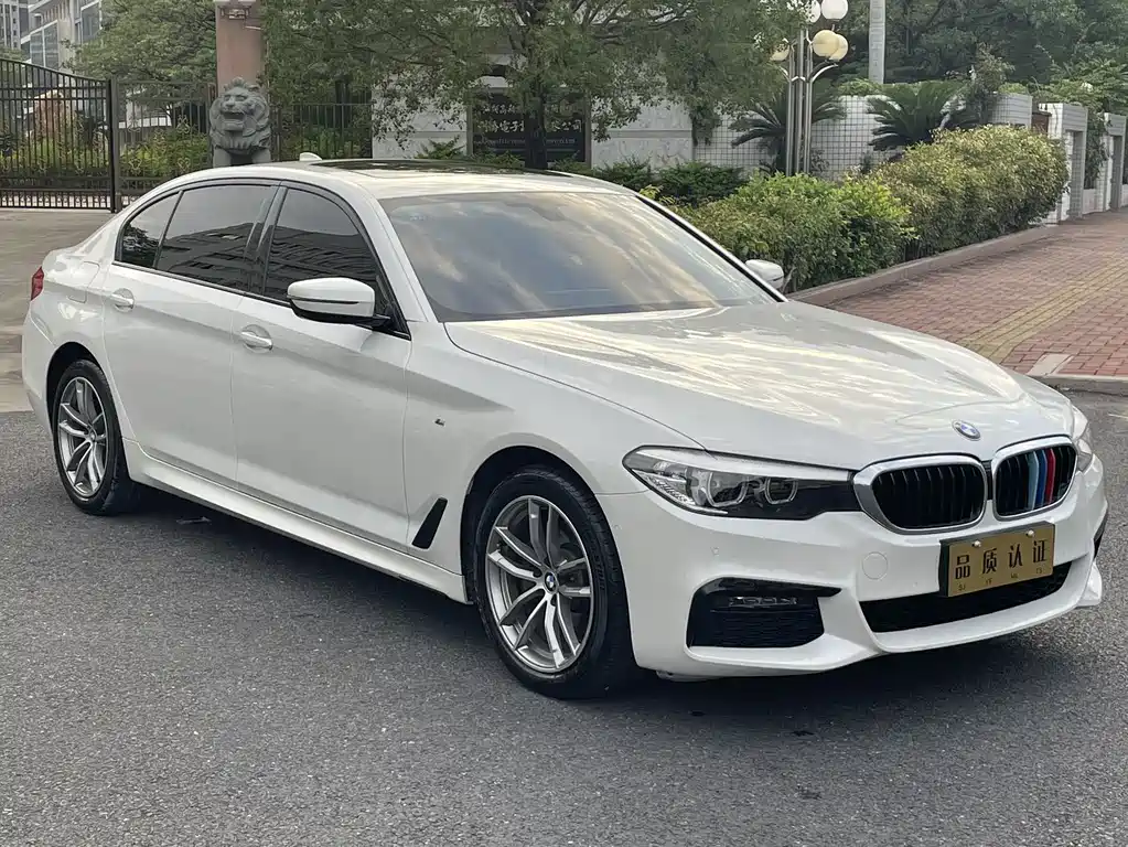 BMW 5 Series 5 2019 525Li M Sport