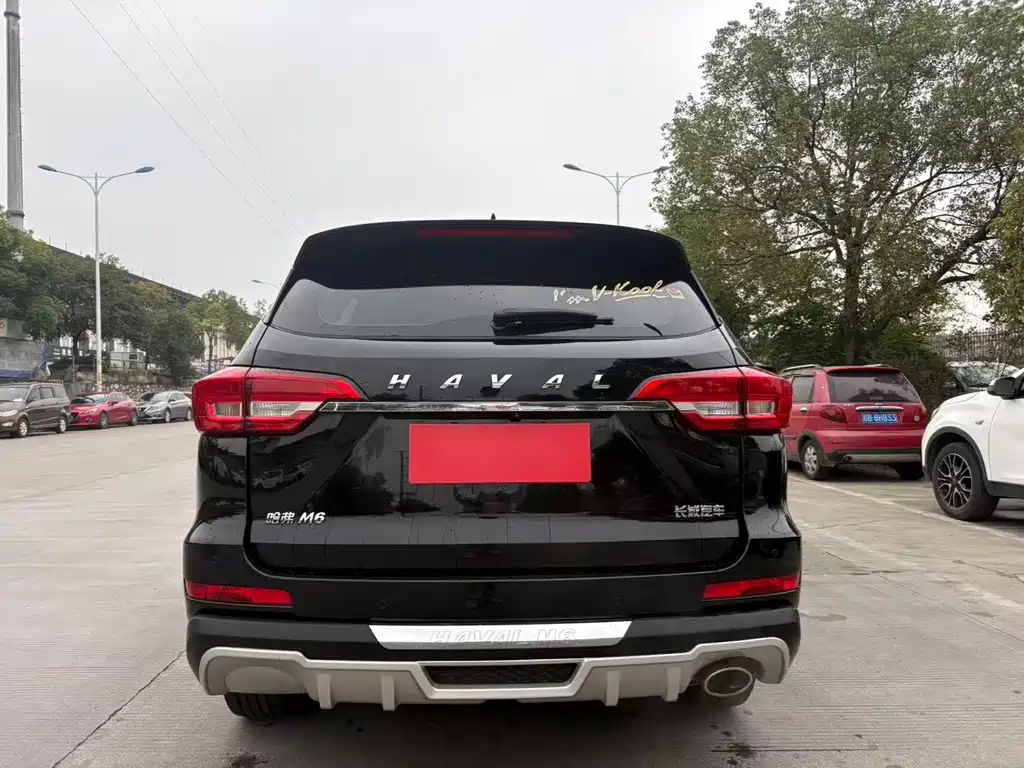 HAVAL M6