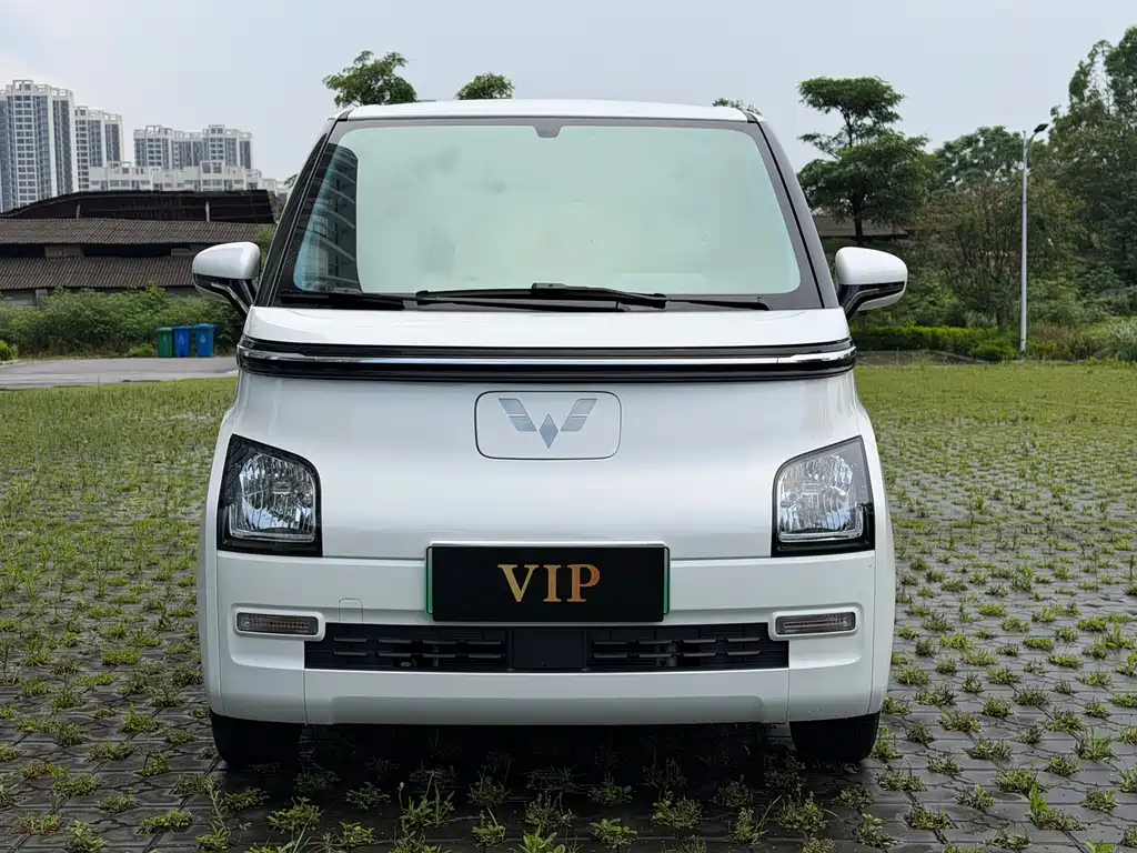 Wuling Air ev 2023 мест- Standard