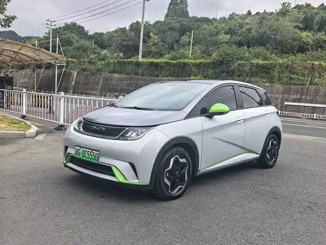 BYD Dolphin